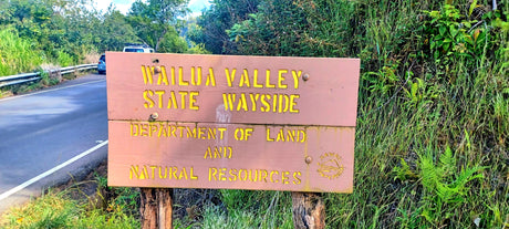 Wailua Valley State Wayside sign next to a road, with a white RV rental or vehicle visible in the background.