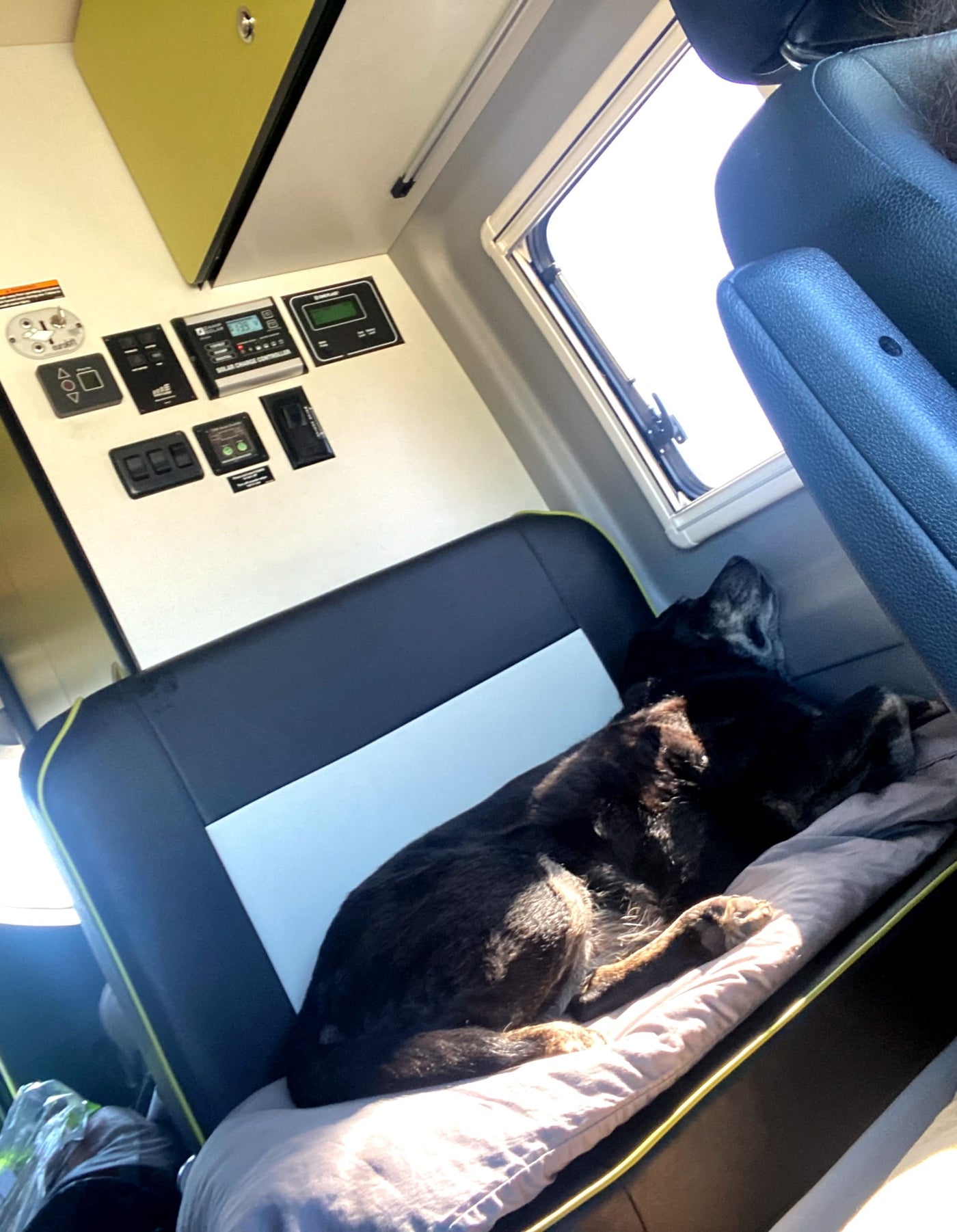 head on armrest — photo 12