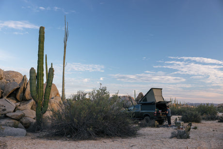 Overlanding desert adventure: an RV rental truck camper with a person, set among tall cacti & large rock formations.