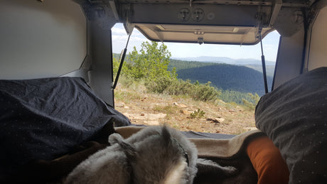 Cozy RV rental view: pet enjoys a mountain forest vista from the open camper hatch, overlooking scenic peaks.