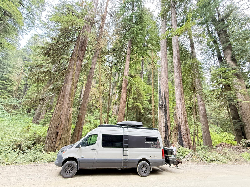 surrounded by tall green trees.|Spacious camper van RV rental interior with modern kitchenette — photo 2