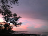 A vivid pink and purple sunset fills the sky over a rocky coast with silhouetted trees and ocean waves. Perfect RV rental trip view!