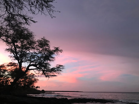 A vivid pink and purple sunset fills the sky over a rocky coast with silhouetted trees and ocean waves. Perfect RV rental trip view!