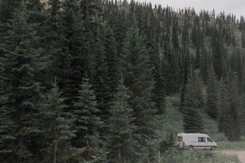 Bertha the Camper Van- Ticket to Yellowstone! Free Unlimited Miles — photo 3
