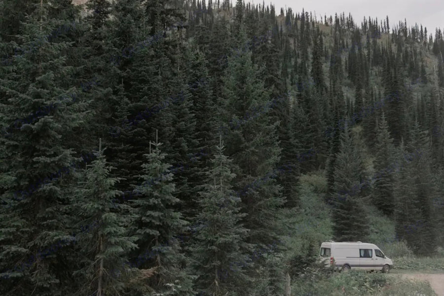  surrounded by forests and mountains. Plan your RV rental getaway.|Enjoying an RV rental adventure: A couple and their dogs relax