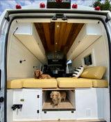 Pet-friendly RV rental interior: two dogs relaxing on custom beds, with a wooden ceiling. Perfect for van life!
