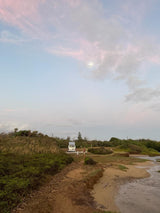 RV rental parked seaside for an outdoor adventure. People by van on path near water & lush greenery.