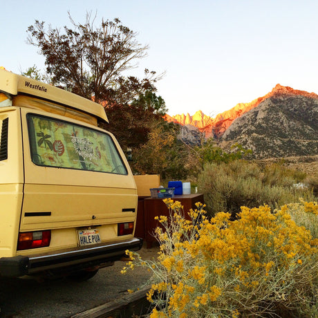 Yellow VW Westfalia camper van, ideal for rv rental, parked at a desert campsite with stunning, sunlit mountains.