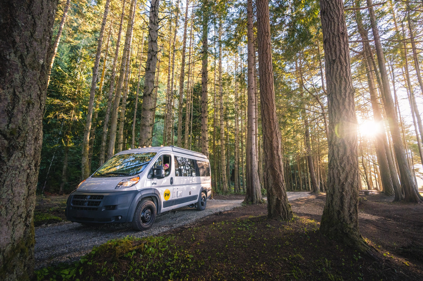 A white RV rental camper van, driven by a person, on a sunlit forest road with tall trees. Ready for your adventure. — photo 2