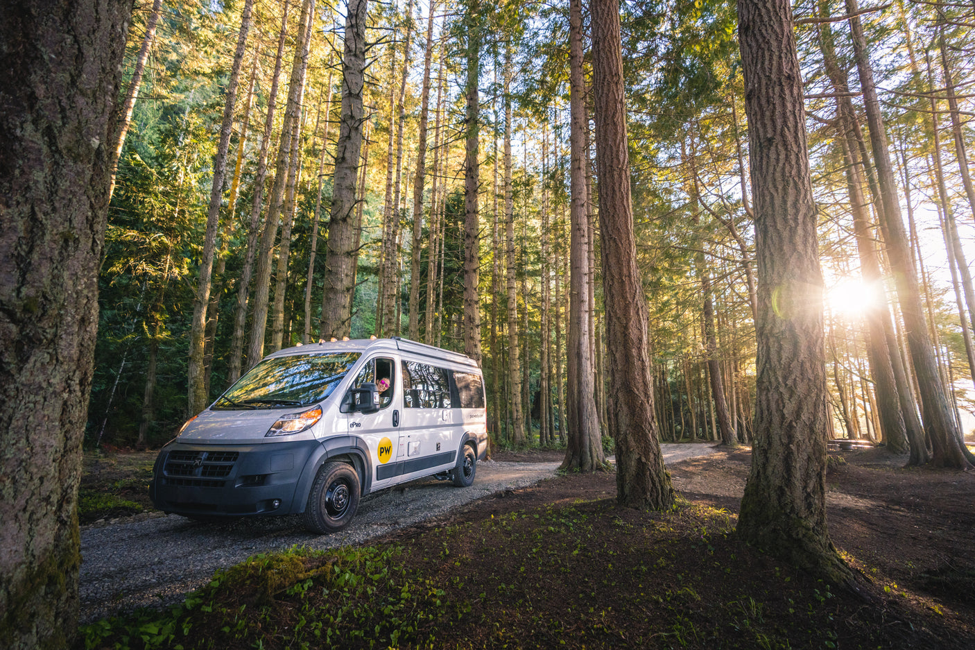A white RV rental camper van, driven by a person, on a sunlit forest road with tall trees. Ready for your adventure.