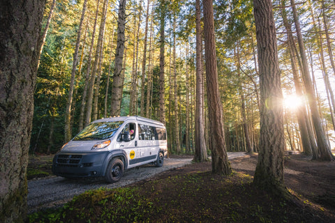 2019 Fully Electric Ram Pleasure-Way eTofino — photo 2