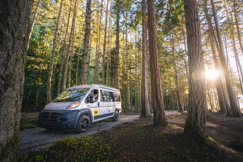 A white RV rental camper van, driven by a person, on a sunlit forest road with tall trees. Ready for your adventure. — photo 2