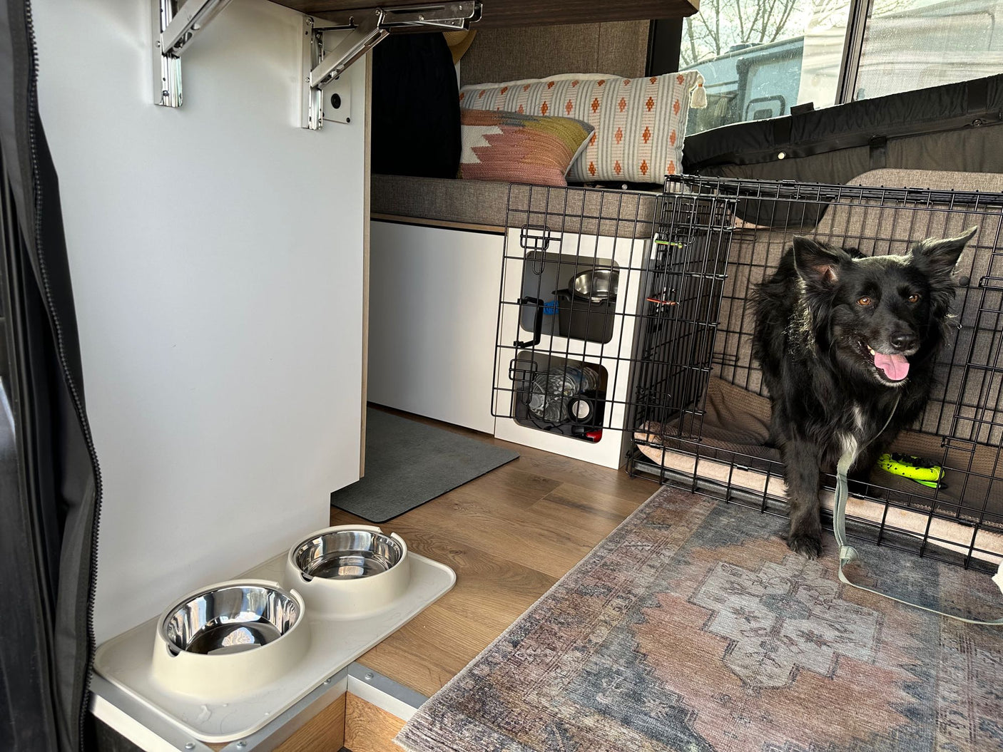 Happy dog in a cozy RV rental interior with dog bowls & crate. Perfect for pet-friendly travel.