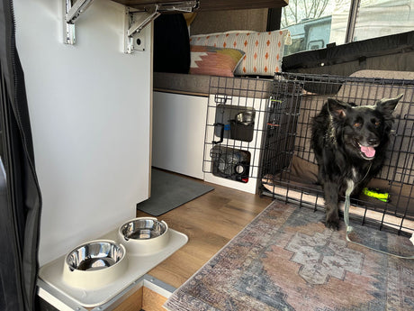 Happy dog in a cozy RV rental interior with dog bowls & crate. Perfect for pet-friendly travel.