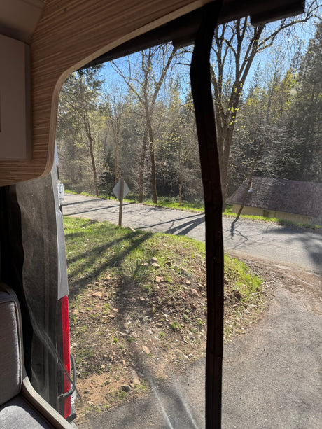 Enjoying the view from an rv rental: road, new spring foliage on trees, and a building through a screened window.
