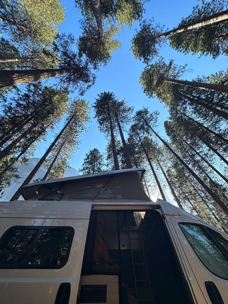 Explore nature in an RV rental! Tall pines tower over this camper van with its pop-top roof extended under a blue sky.