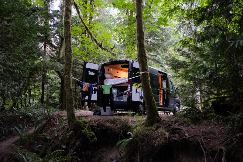 Adventurous rv rental: a camper van set up in a lush, mossy forest with open doors, illuminated interior, and drying wetsuits. — photo 5