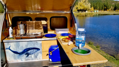 An **rv rental**'s rear kitchen setup with stove, sink, and whale art, overlooking a serene lake. Ideal for outdoor cooking.