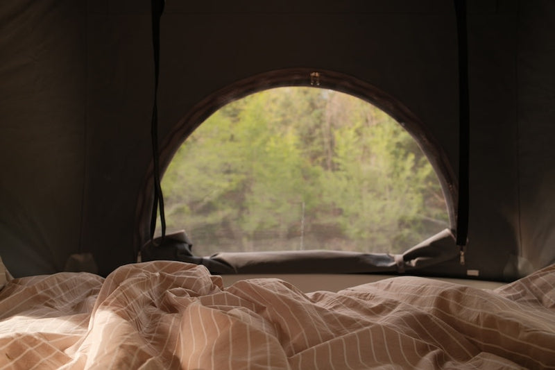  offering a view of a serene forest through a protective mesh screen.|RV rental interior showcasing a compact kitchen with a two-burner stove — photo 7