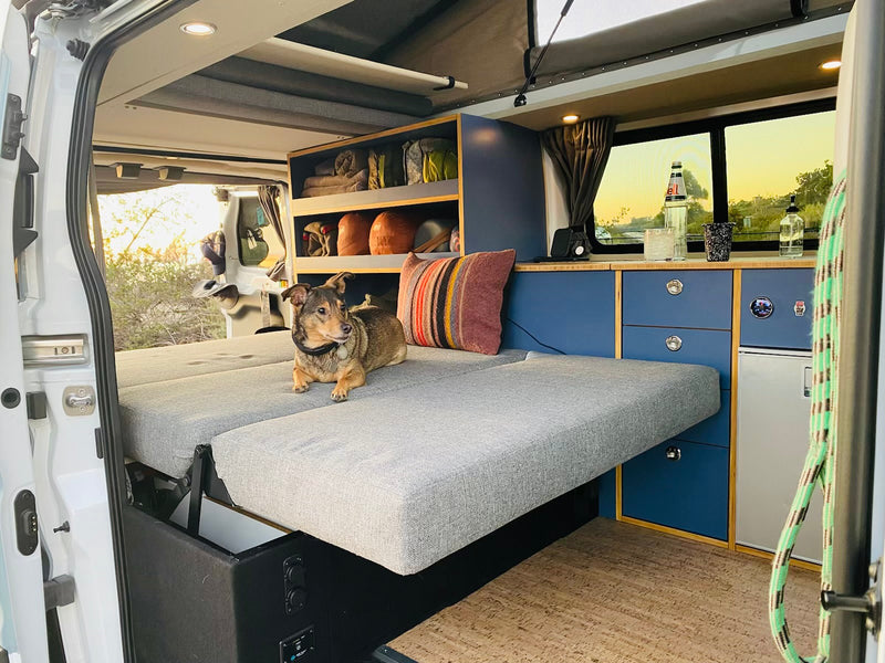 Relaxed dog in a stylish camper van. Custom storage, pull-out bed & kitchen make this rv rental perfect for van life adventures. — photo 5