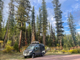 Dark grey RV rental Sprinter van parked on a dirt road in a tall, autumn-colored forest under a cloudy sky.