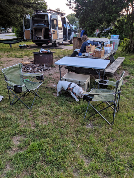 RV rental campsite with an open van, person reading at a picnic table, bulldog, and fire pit. Enjoying the outdoors.