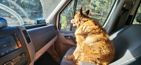 Family Trip Ready - Sprinter Campervan — photo 2