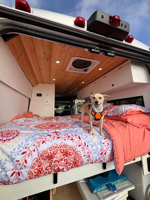 Hot Outdoor Shower · Pet Friendly · Premium Mattress · Flexible Pickup overland rental