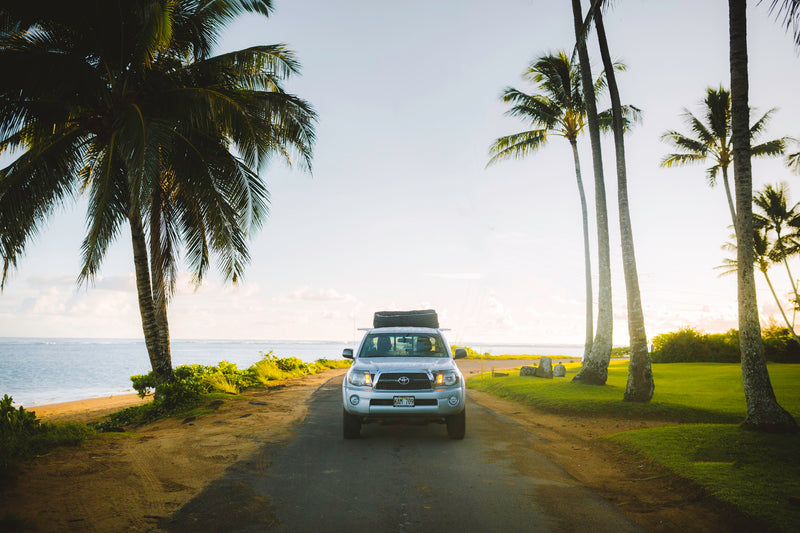 Tropical paradise road trip: A silver truck on a coastal road lined with palm trees. Perfect for adventure, like an RV rental. — photo 8