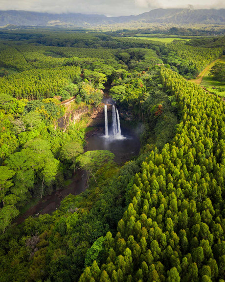 Aerial view of a stunning double waterfall plunging into a pool amidst vast green forests. Ideal for an RV rental trip.