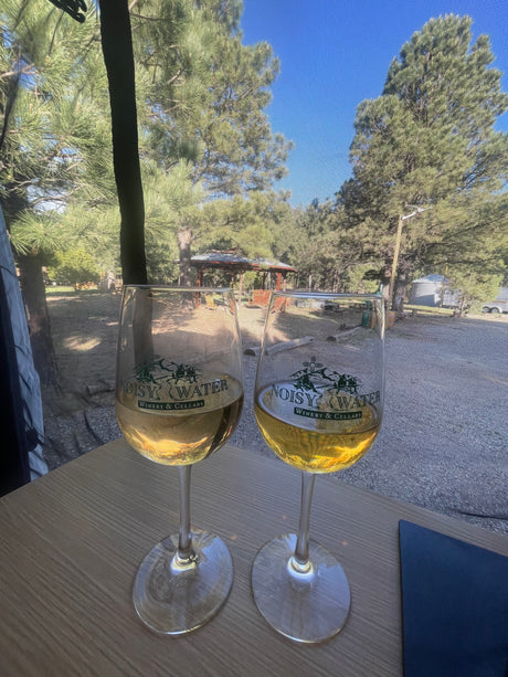 Sipping white wine from Noisy Water Winery, enjoying the serene outdoor view through our RV rental's screen.