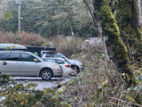 RV rental truck with a camper and other travel vehicles parked among mossy trees in a dense forest. Ideal for outdoor trips.