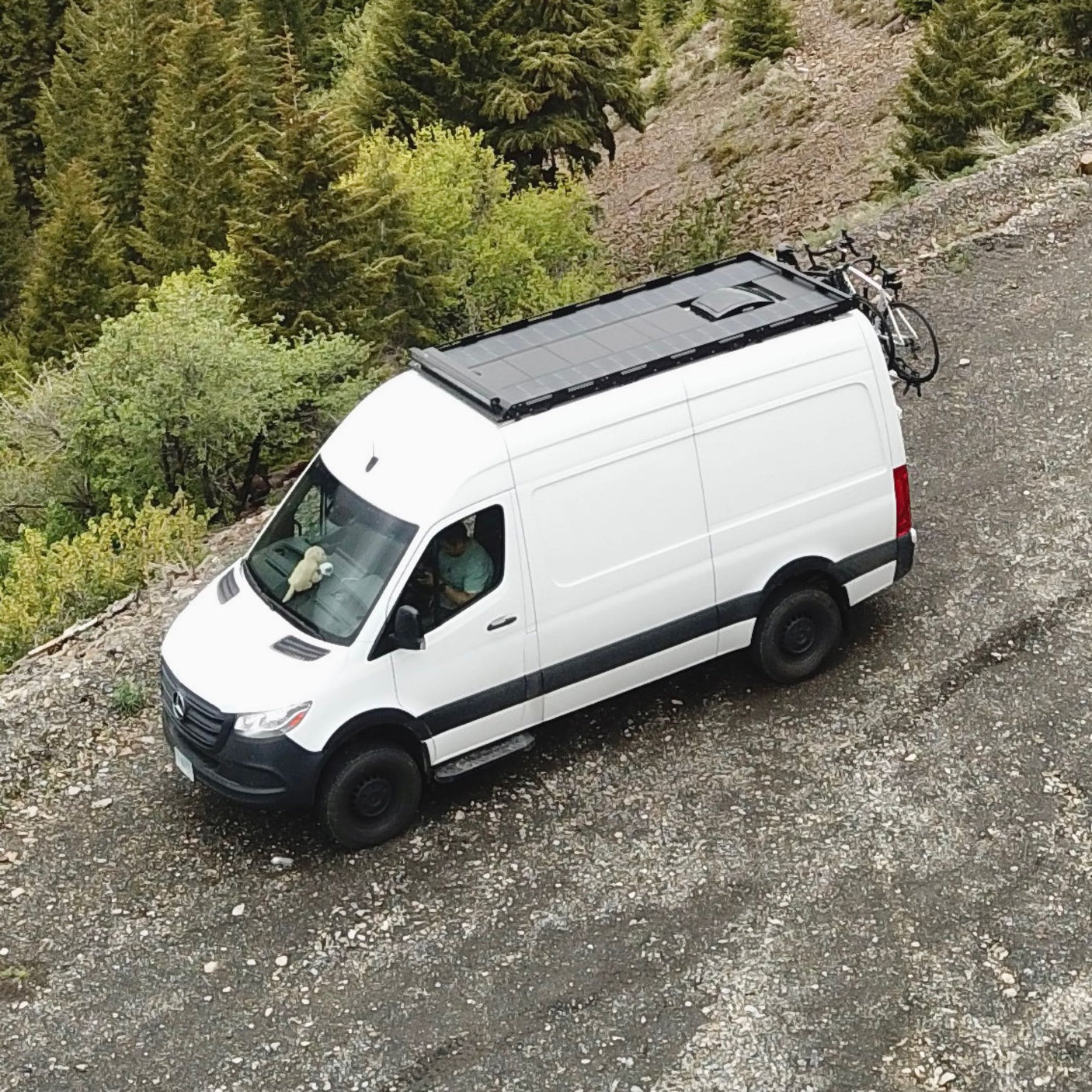 Sadie's Van