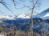 Epic winter landscape of snow-capped mountains & forested valleys, viewed through bare branches. Perfect for an RV rental adventure.