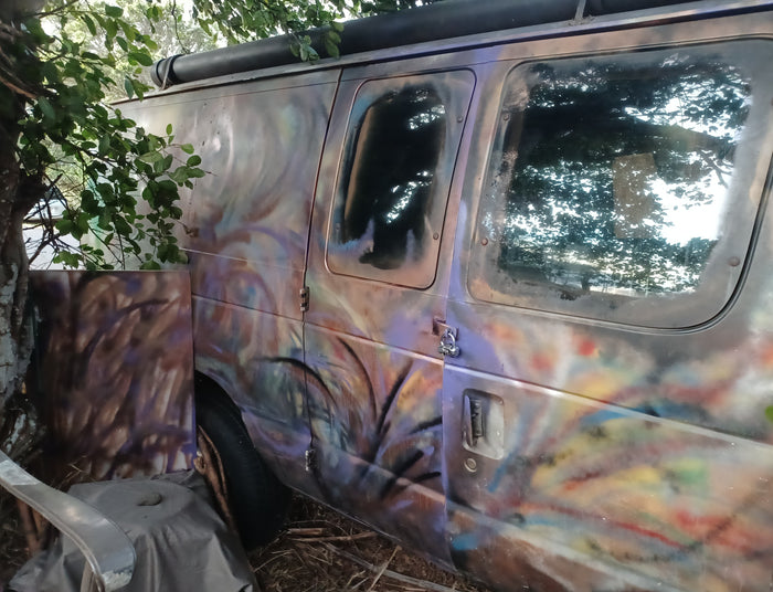 This vibrant, abstractly painted van could be a distinctive RV rental, parked outdoors with a roof rack & door lock.