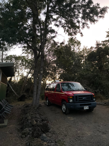 A red Ford van, resembling an RV rental, is parked among lush trees on a dirt path in nature.