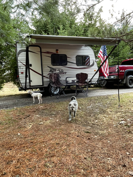 RV rental travel trailer campsite with two dogs, chairs, and a red truck.