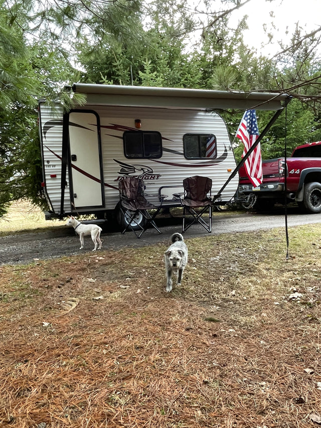 RV rental travel trailer campsite with two dogs, chairs, and a red truck.