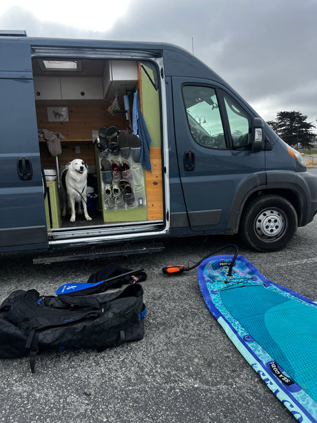 A happy dog looks out from an RV rental van's open door. Paddleboard and gear sit outside, ready for an outdoor adventure.