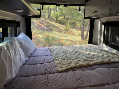 Cozy RV rental bed with a serene nature view through the screen window, perfect for camping relaxation.