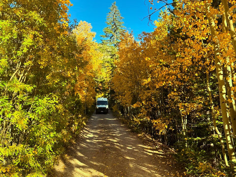 Adventures with Althea: 2021 MB Sprinter Campervan: Family & Pet Friendly — photo 5