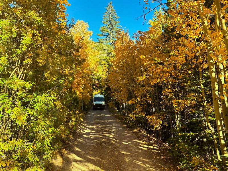  offering scenic nature travel.|Autumn adventure: A white **rv rental** van with bikes on a dirt road surrounded by golden aspens.|Bright sun illuminates this white Mercedes-Benz Sprinter rv rental — photo 5