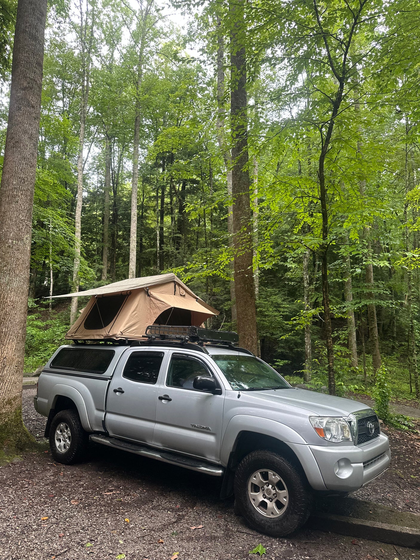 Overlanding adventure: Silver Tacoma truck with rooftop tent, a great alternative to an rv rental for forest camping.