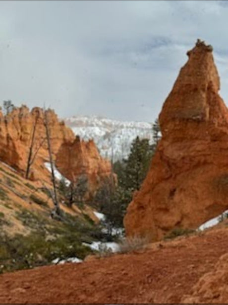 Scenic red rock canyon with unique hoodoos and distant snow-capped mountains, perfect for an RV rental adventure.