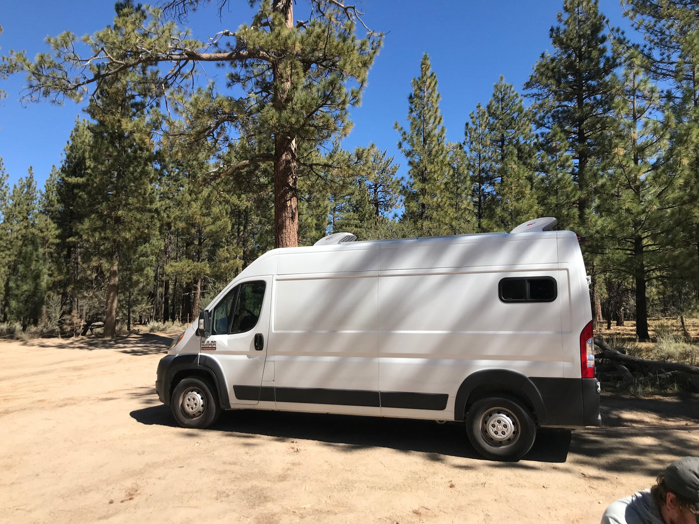White RV rental van parked on a dirt road amid tall pine trees under clear blue sky, ideal for camping.
