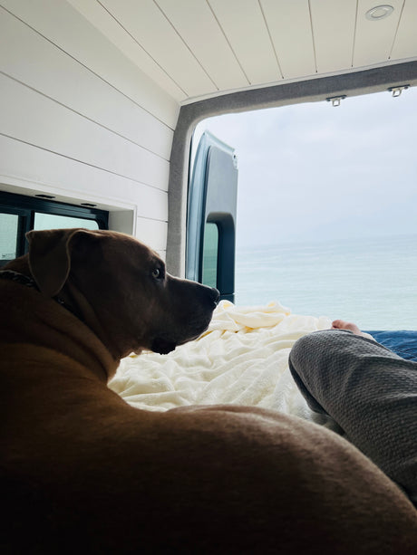 2021 Mercedes-Benz Sprinter