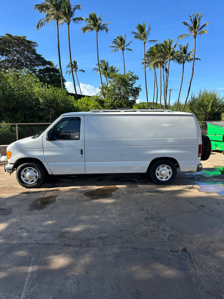 White Ford van, potentially an RV rental, parked on concrete with tall palm trees against a clear blue sky.