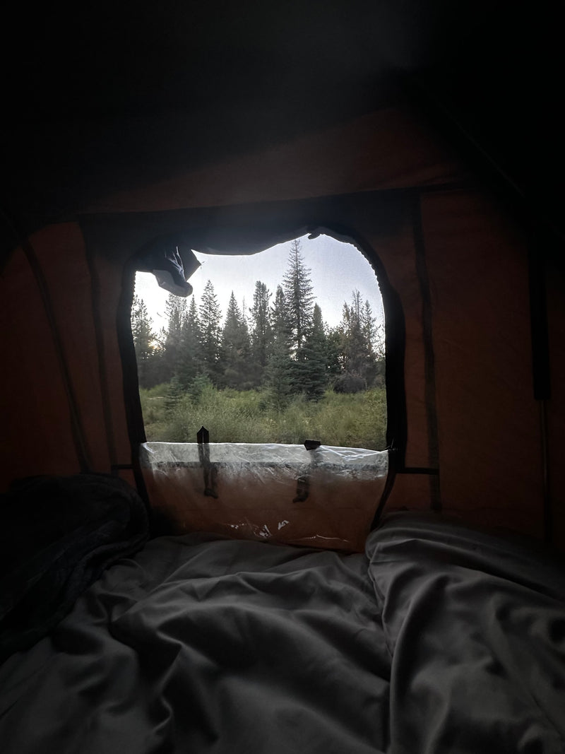 Cozy RV rental view from bed: waking up to a forest sunrise. Enjoy nature's beauty and comfortable camping. — photo 7
