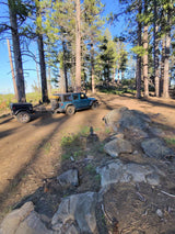 The Wander Wagon — Go-Anywhere Tentrax Adventure Trailer