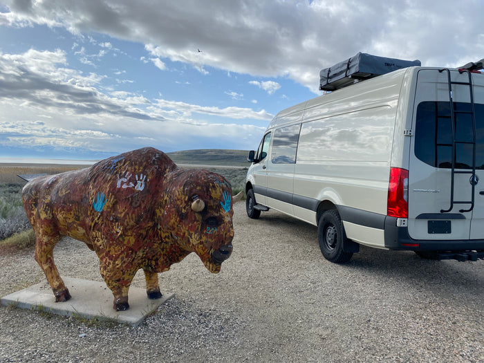 An RV rental Sprinter van parked by a colorful bison statue, overlooking a lake and mountains. Great outdoor travel.